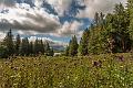 2017_08_06_Auvergne (0004)